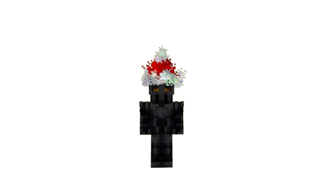 Bonnet de Père Noël
