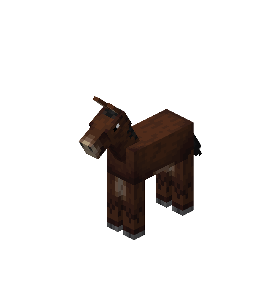 Bébé mule de companie