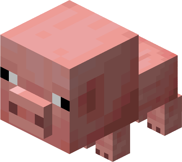 Bébé cochon de companie