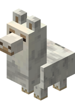 Bébé lama de companie