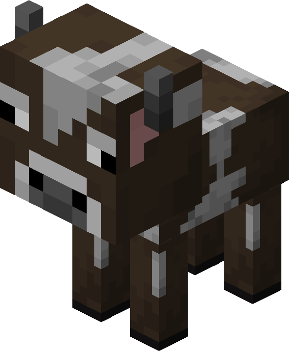 Bébé vache de companie
